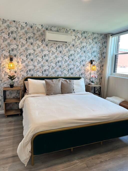 Home Haven, Walk To Little Italy & Wooster Square 뉴헤이번 외부 사진